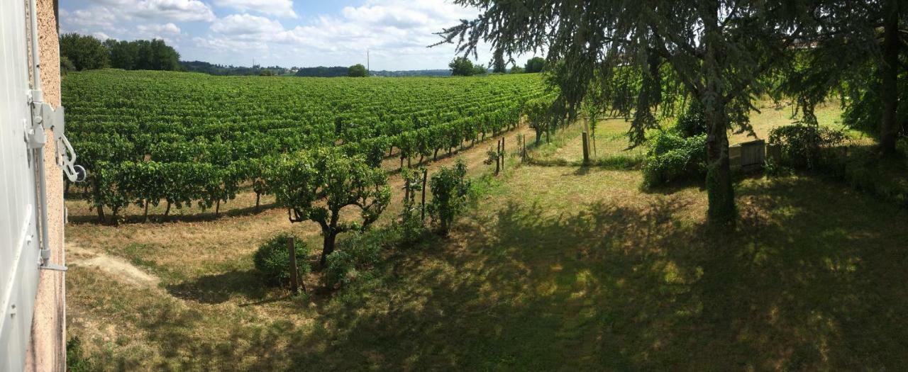 Mirande Montagne-Saint Emilion Apartment มองตาเญ ภายนอก รูปภาพ