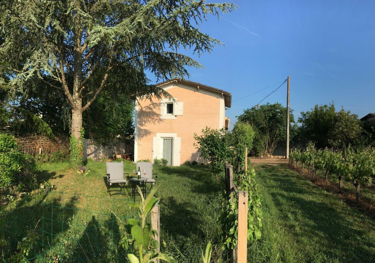 Mirande Montagne-Saint Emilion Apartment มองตาเญ ภายนอก รูปภาพ